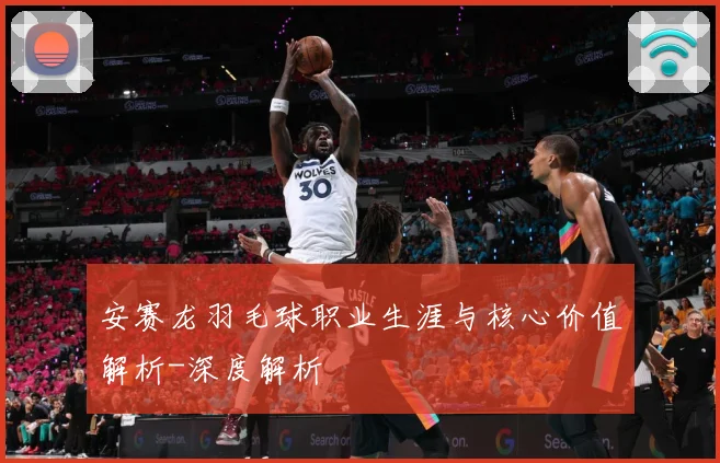 安赛龙羽毛球职业生涯与核心价值解析-深度解析