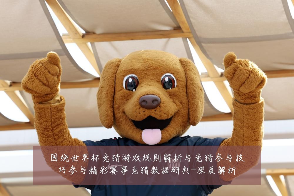 围绕世界杯竞猜游戏规则解析与竞猜参与技巧参与精彩赛事竞猜数据研判-深度解析