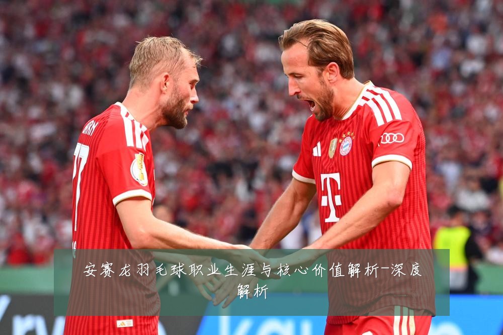 安赛龙羽毛球职业生涯与核心价值解析-深度解析