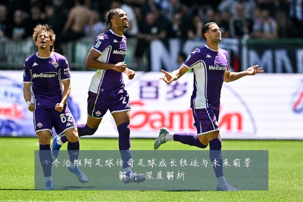 乔治维阿足球传奇足球成长轨迹与未来前景解析-深度解析